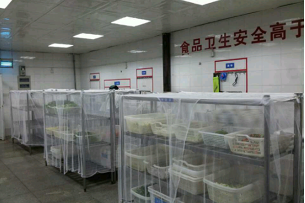 食堂毛菜、净菜区分